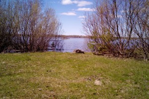 IMG_20170525_134527