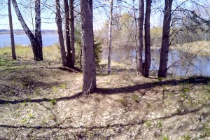 IMG_20170525_135956