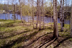 IMG_20170525_140213