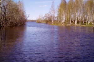 IMG_20170525_140941
